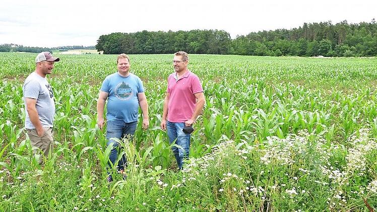 Thomas Knoch, Marius Steiner und Matthias Kempf (von links) stehen auf dem Acker, auf dem im Hintergrund das Güllebecken gebaut werden soll.