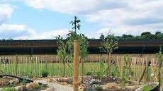 Kräutergarten mit fränkischem Staketenzaun
