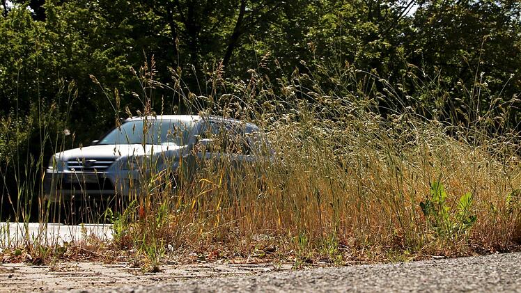 Eingeschränkte Sicht ist ein Grund, das Gras zu mähen. Sicherheit hat Vorrang. Foto: Josef Hofbauer