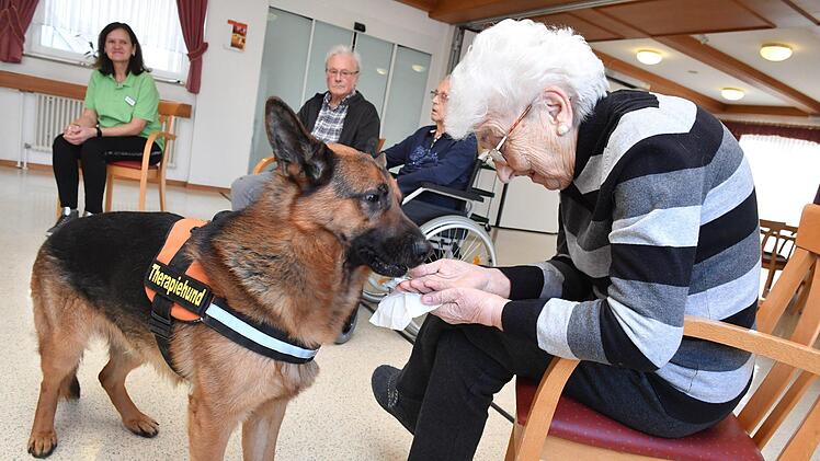 Therapiehund Aramis bei den Senioren im Kulmbacher WohnstiftFoto: Ronald Rinklef