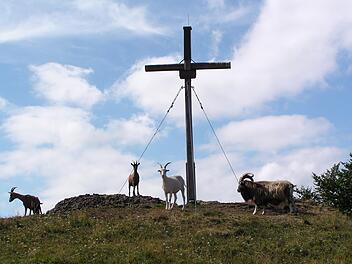 Welche vorhanden örtlichen Stationen, die zur Besinnung und zum Innehalten einladen, wie das Gipfelkreuz am Rockenstein, in den Pilgerweg einbezogen werden, muss sich im Laufe des Prozesses noch ergeben.