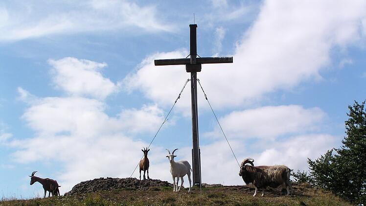 Welche vorhanden örtlichen Stationen, die zur Besinnung und zum Innehalten einladen, wie das Gipfelkreuz am Rockenstein, in den Pilgerweg einbezogen werden, muss sich im Laufe des Prozesses noch ergeben.