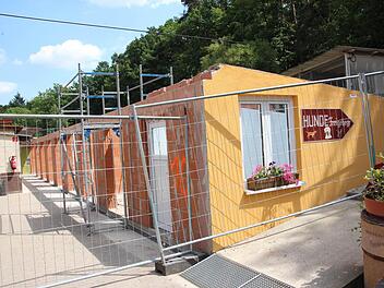 Hier entsteht der Neubau für eine Quarantänestation für Katzen.
