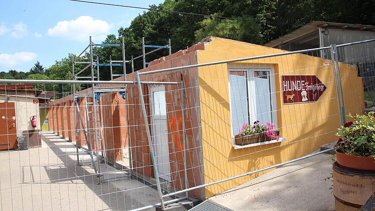 Hier entsteht der Neubau für eine Quarantänestation für Katzen.