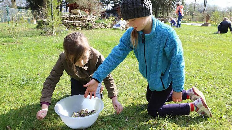 Wildkräuter-Nachmittag bei unserer Traumgarten AG Foto: Barbara Herbst