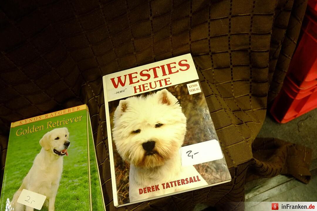 43. Internationale Rassehundeausstellung (Cacib) in Nürnberg