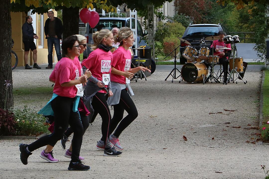 Pinklauf 2015