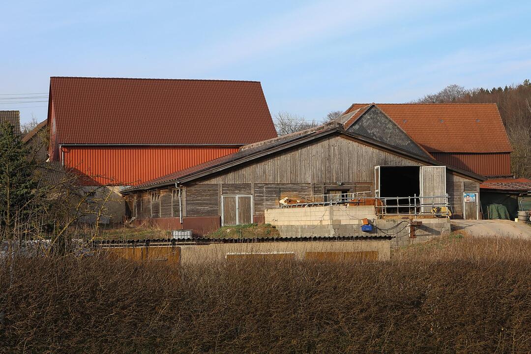 SoS Oberfellendorf im Lkr. Forchheim; Foto: Barbara Herbst