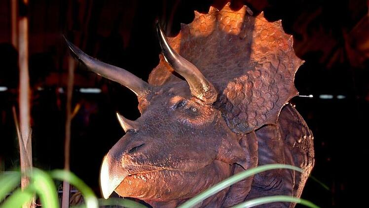 Bayreuth: Mobile Dinosaurier-Ausstellung macht in Stadt Halt - was die Besucher erwartet