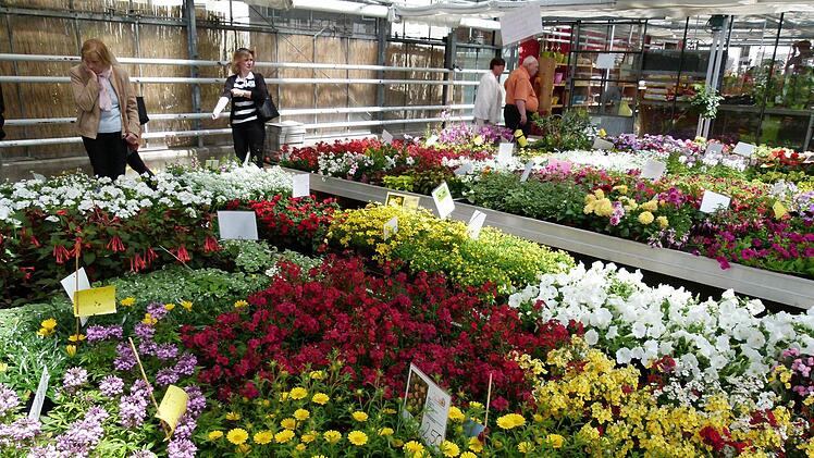 Foto: Marion Krüger-Hundrup