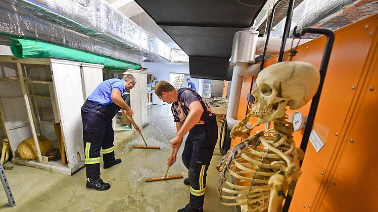 Ins Naturkundemuseum in Bamberg musste am Samstag die Feuerwehr ausrücken. Grund: ein Wasserrohrbruch. Foto:Ronald Rinklef