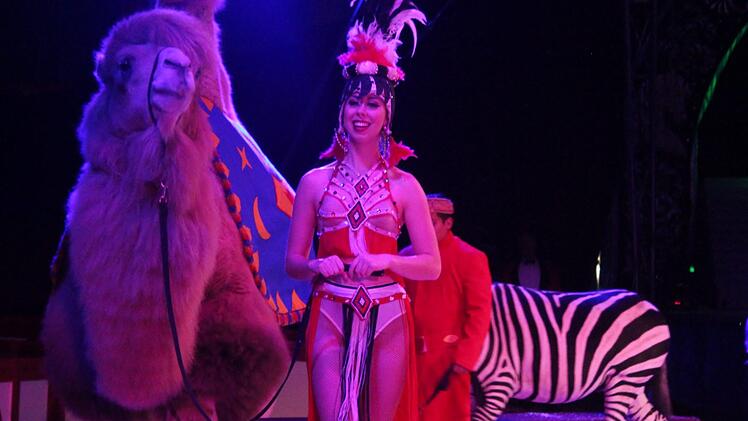 Schönheit mit Wüstenschiff und Zebra. Foto: Werner Vogel