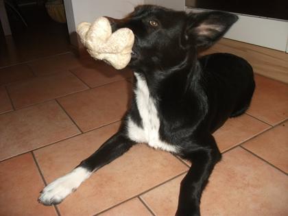 Foto: Tina Lindenberger