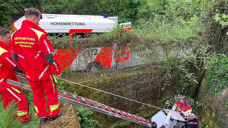 W&uuml;rzburg: Schaf st&uuml;rzt in die Tiefe - und wird von der Feuerwehr gerettet