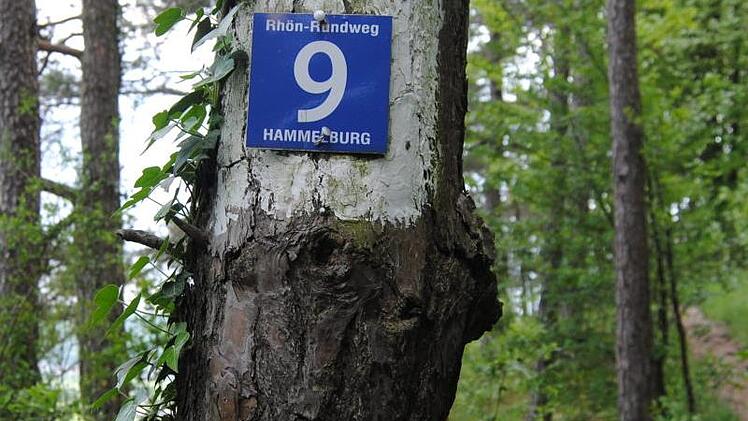 Auch den Wald am Hammelberg hat die neue Rangerin im Blick.