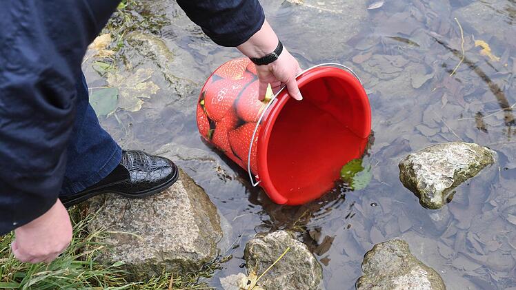 Wasser schöpfen für die Toilettenspülung - im Ernstfall müsste man wohl zu dieser Methode greifen. Foto: Ronald Rinklef