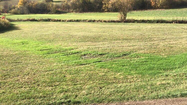 Auf der Wiese war das Abwasser. Foto: Carmen Schwind