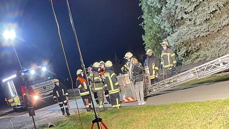 Buch bei Gremsdorf: Feuerwehr muss Katze von Baum retten