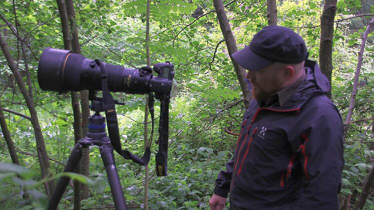 Stephan Amm beobachtet die Spechthöhle.  Foto: Friedwald Schedel