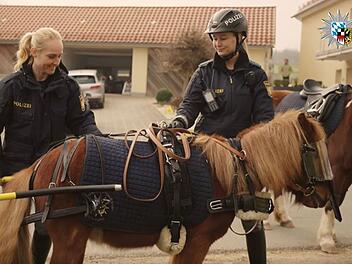 Beste Aprilscherze 2024 in Franken: Polizei-Ponys, Cannabis-Anbau, Bier ohne Kalorien