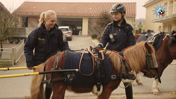 Beste Aprilscherze 2024 in Franken: Polizei-Ponys, Cannabis-Anbau, Bier ohne Kalorien
