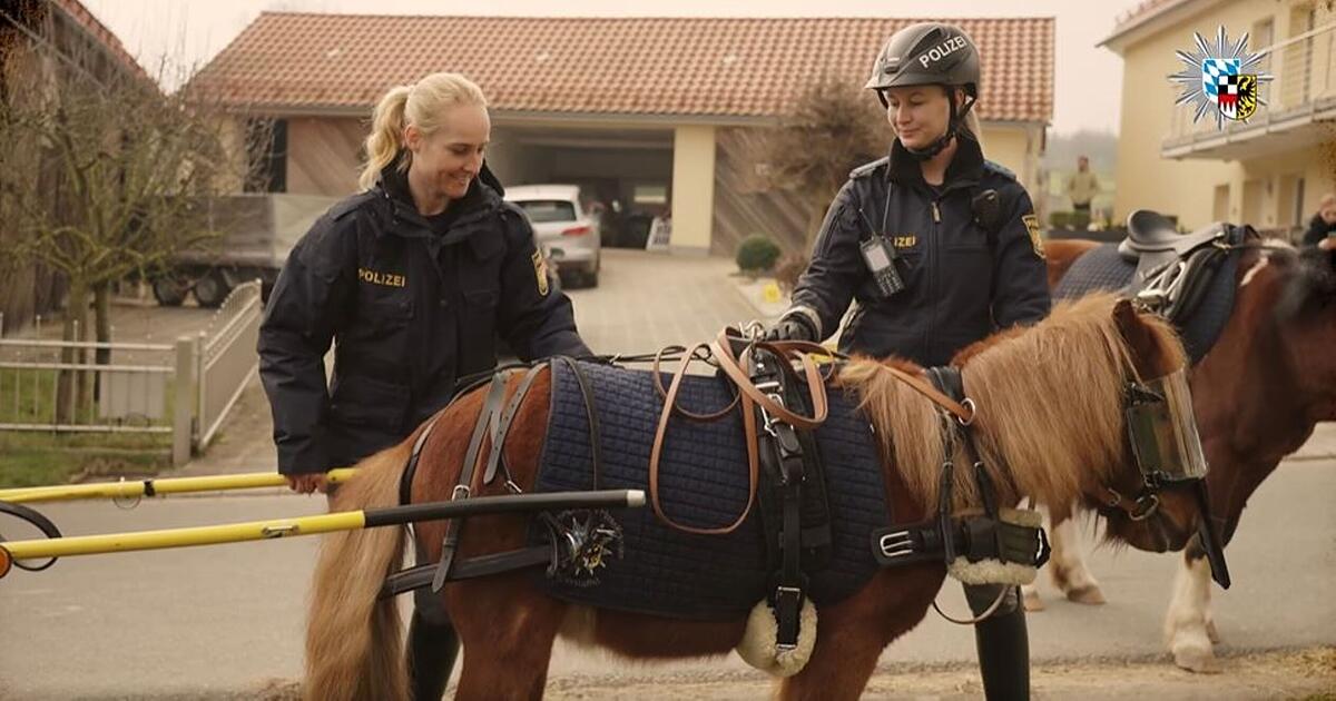 aprilscherze 2024 bilder