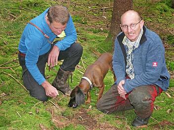 Revierleiter und Berater Martin Körlin (links) und Georg Lindig inspizieren hier eine Pflugspur, in der die Aussaat von Tannenkeimlingen zu erkennen ist. Foto: Karl-Heinz Hofmann
