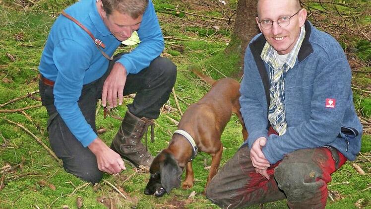 Revierleiter und Berater Martin Körlin (links) und Georg Lindig inspizieren hier eine Pflugspur, in der die Aussaat von Tannenkeimlingen zu erkennen ist. Foto: Karl-Heinz Hofmann