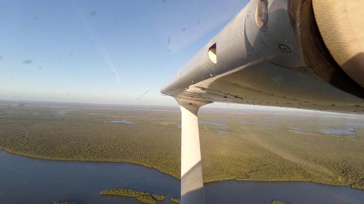 Über den Everglades