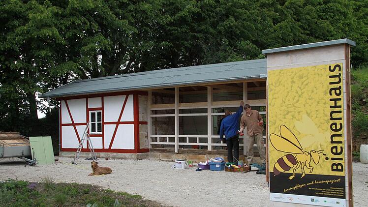 Michael Stromer und einer der Handwerker am Bienenhaus bei der Arbeit Foto: Ramona Popp