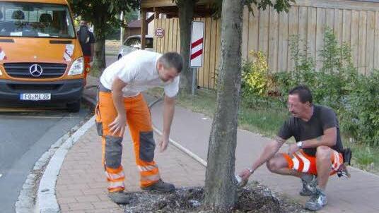 Gemeindearbeiter bewässern Bäume.