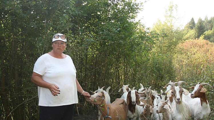 Auch am Weinberg bei Friesen haben die Tiere von Silke Schnabel keine andere Aufgabe, als Fl&auml;chen zu entbuschen. Ob das allein ausreicht, um das gew&uuml;nschte Ergebnis zu erzielen, wird die Zukunft zeigen.Maria L&ouml;ffler