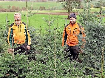 Hofbesitzer Johannes Kettler (rechts) und sein Vater Wolfgang (links) sind seit dem Jahr 2016 überzeugte Bio-Bauern, auch was ihre Christbaumkulturen betrifft.  Foto: Helmut Will