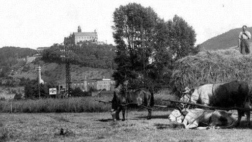Heuernte in den Kulmbacher Mainauen vor 80 Jahren: Ochs, Pferd und Menschenkraft waren gefragt. Foto: Archiv / Stephan Tiroch