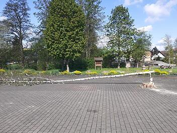 In den Gemeinden Oberthulba und Wartmannsroth haben Unbekannte vor kurzem insgesamt acht Bäume umgelegt. Unser Bild zeigt den Baum in Thulba.