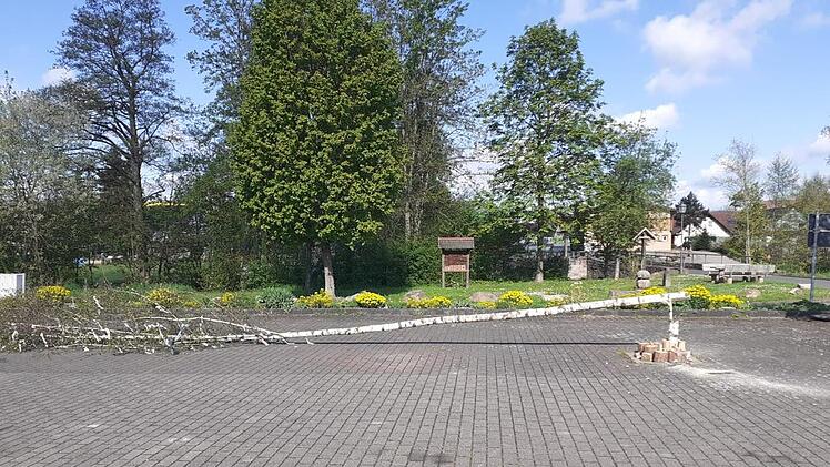 In den Gemeinden Oberthulba und Wartmannsroth haben Unbekannte vor kurzem insgesamt acht Bäume umgelegt. Unser Bild zeigt den Baum in Thulba.