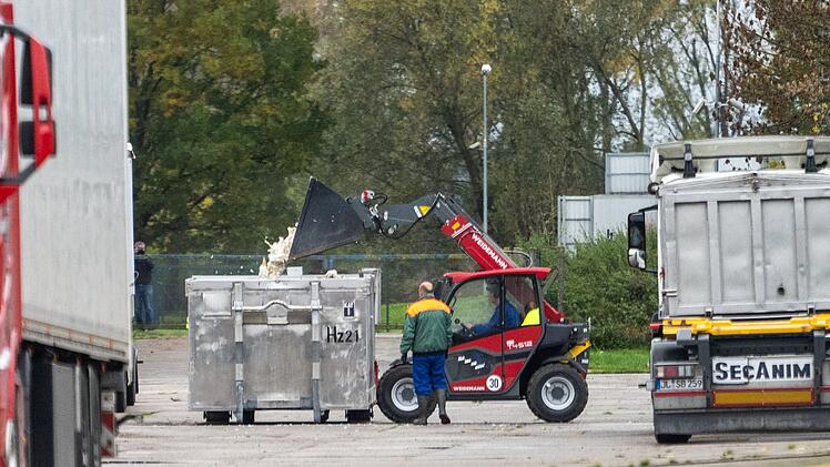 Vogelgrippe in Brandenburg