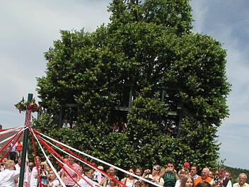 Die Tanzlinde Peesten wird in den Motivkatalog der Filmkulisse Bayern aufgenommen.  Foto: Archiv/Sonny Adam