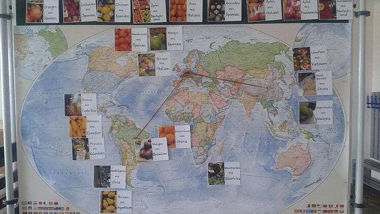 Die Klasse 4a der Grundschule Stockheim besuchte den Edeka-Markt