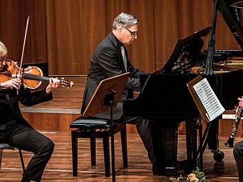 Das Coburger Kammertrio gestaltet am Sonntag ein Konzert im Rathaussaal.Foto: Archiv/Jochen Berger