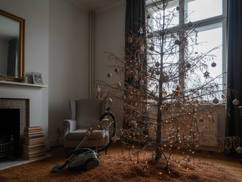 Weihnachtsbaum verliert Nadeln