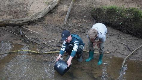 Fie jungen Fische werden genau beobachtet. Foto: Oliver J&uuml;sten