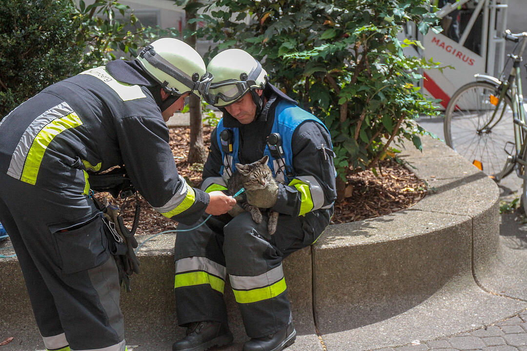Wohnung geht in Flammen auf