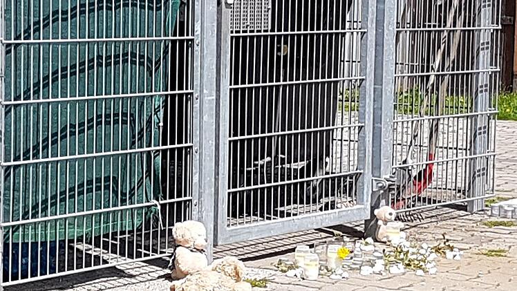 Betroffene Heinersreuther haben an der Fundstelle Kerzen, Blumen und Plüschtiere niedergelegt.