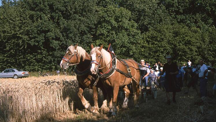 So ging es früher auf dem Land zu. Foto: Ewald Kiesel/Archiv