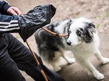 Beutelfplicht für alle Hundeausführer? In Coburg wird das gerade diskutiert. Foto: dpa
