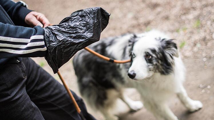 Beutelfplicht für alle Hundeausführer? In Coburg wird das gerade diskutiert. Foto: dpa