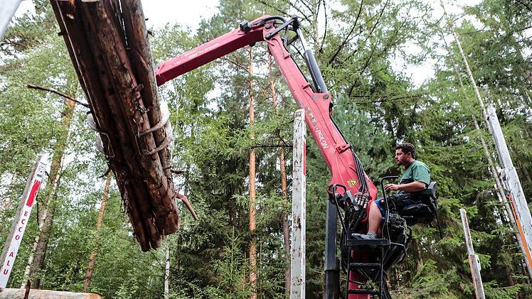 Schwerstarbeit im Wald