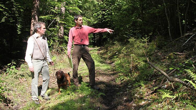 Bevor der Bagger rollte, rückten sie im Buchwald aus, um zu schauen, wo Wege breiter werden müssen: Revierförster Matthias Schulze (rechts) und Fritz Maier, der Leiter des Forstbetriebs Nordhalben. Foto: Katrin Geyer