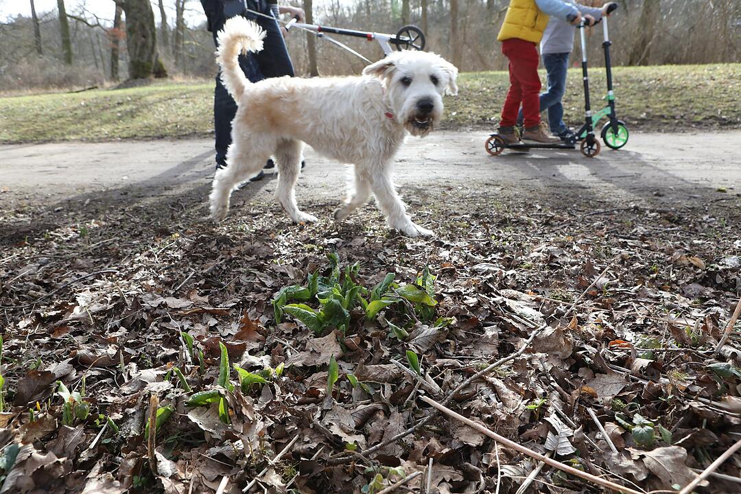 Frühling in Franken: Das Leben erwacht